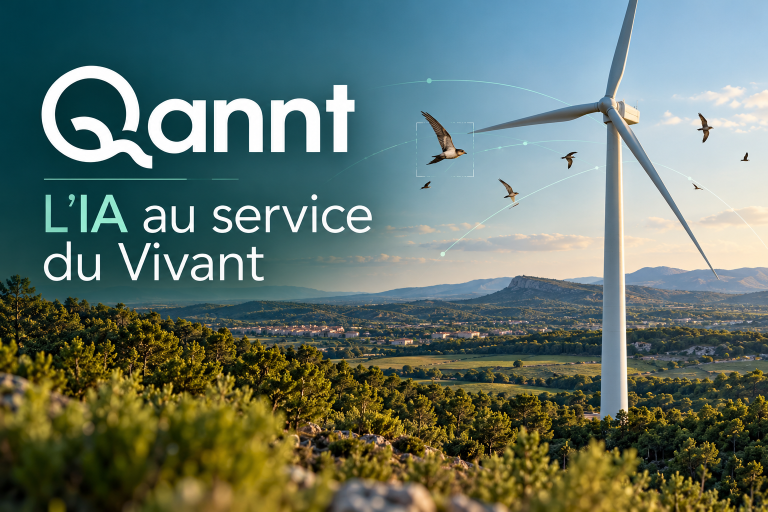Qannt : l’intelligence artificielle au service de la protection des oiseaux